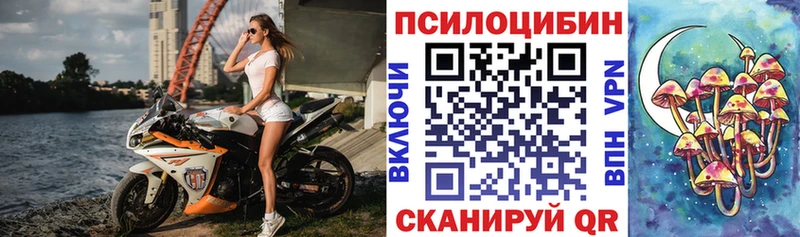 Галлюциногенные грибы Psilocybe  мориарти наркотические препараты  Любим 